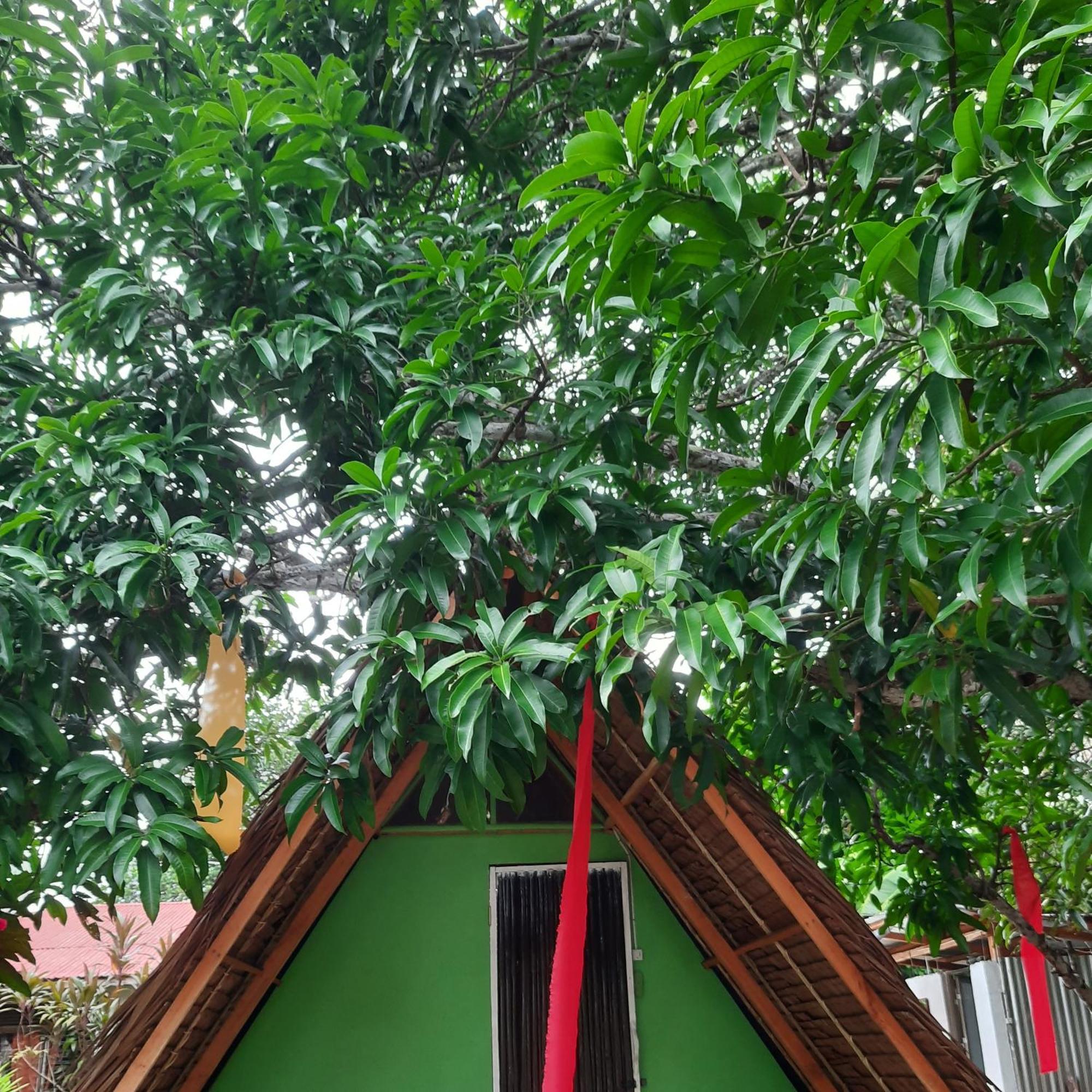Lagkaw Uno In Lagkaw Homestay 팡라오 외부 사진
